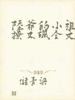 陆爷的小祖宗又撩又飒全文阅读