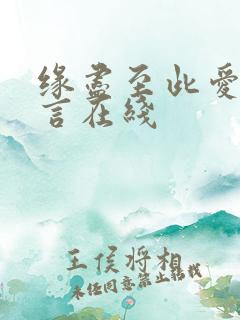 缘尽至此爱不再言在线