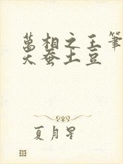 万相之王笔趣阁天蚕土豆
