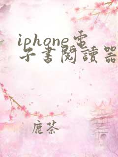 iphone电子书阅读器