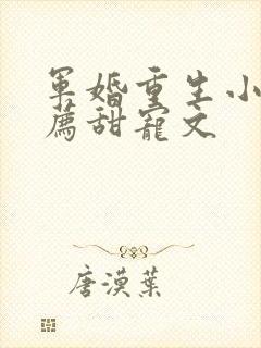 军婚重生小说推荐甜宠文