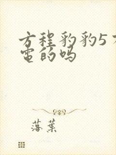 方程豹豹5有纯电的吗