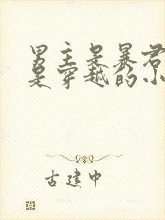 男主是暴君女主是穿越的小说