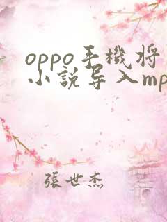 oppo手机将小说导入mp4