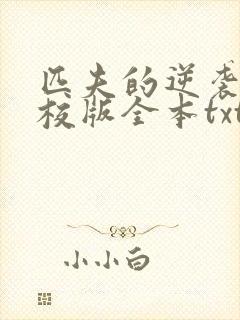 匹夫的逆袭 精校版全本txt 匹夫的逆袭 精校版全本txt