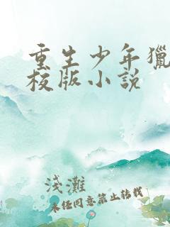 重生少年猎美精校版小说