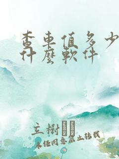 查车值多少钱用什么软件