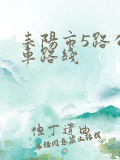 耒阳市5路公交车路线