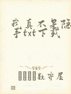 我真不是隐世高手txt下载