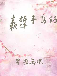 支持手写的笔记软件