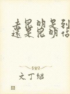 去昆明是到南站还是昆明站