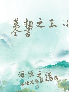 万相之王 小说全书