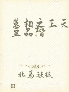 万相之王天蚕土豆品阶