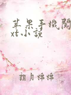 苹果手机阅读txt小说