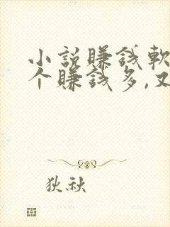 小说赚钱软件哪个赚钱多,又安全