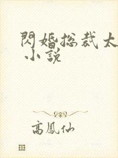 闪婚总裁太霸道 小说
