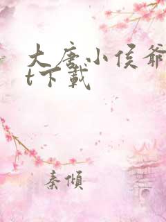 大唐小侯爷txt下载