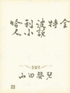 哈利波特金妮同人小说