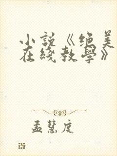 小说《绝美白莲在线教学》