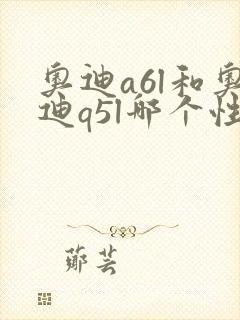奥迪a6l和奥迪q5l哪个性价比高