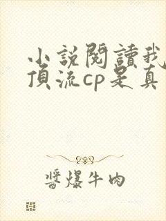 小说阅读我磕的顶流cp是真的