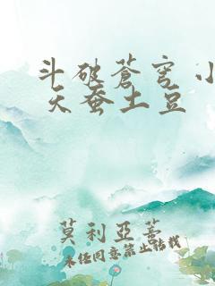 斗破苍穹 小说 天蚕土豆