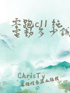 零跑c11 纯电动多少钱