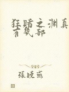 狂赌之渊真人版有几部