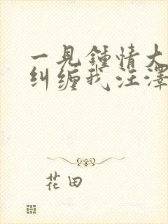 一见钟情大叔别纠缠我汪泽深小说