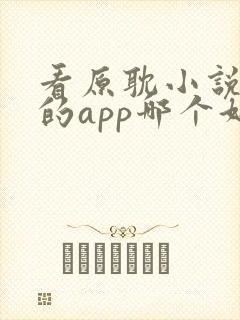 看原耽小说免费的app哪个好用