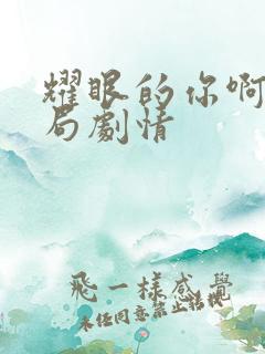 耀眼的你啊大结局剧情