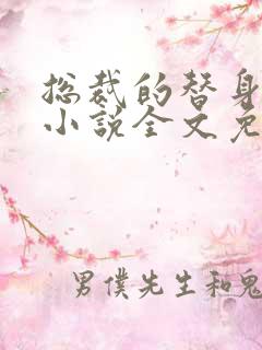 总裁的替身新娘小说全文免费阅读