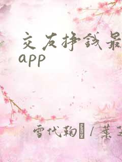 交友挣钱最快的app