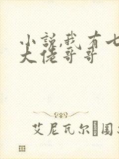 小说,我有七个大佬哥哥