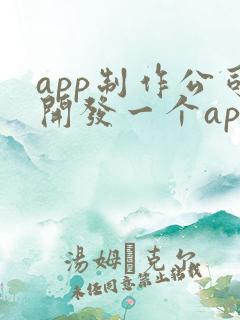 app制作公司开发一个app的价格