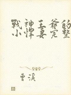 战神王爷的甜宠小悍妻完整版