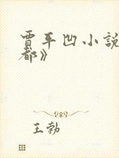 贾平凹小说w废都》
