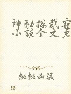 神秘总裁宠上瘾小说全文免费阅读