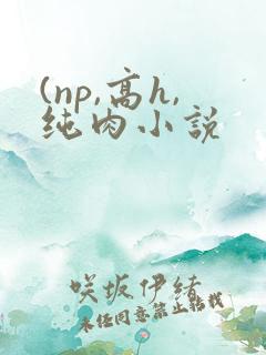 (np,高h,纯肉小说