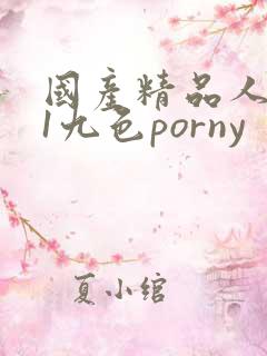 国产精品人妻91九色porny