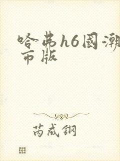 哈弗h6国潮都市版