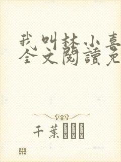 我叫林小喜小说全文阅读免费