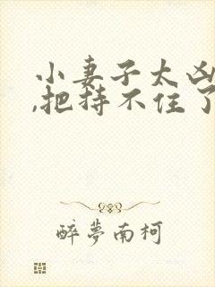小妻子太凶陆爷,把持不住了完结了吗