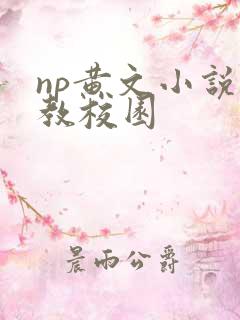 np黄文小说调教校园