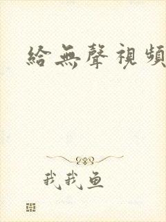 给无声视频配音
