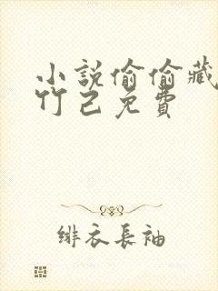 小说偷偷藏不住竹己免费
