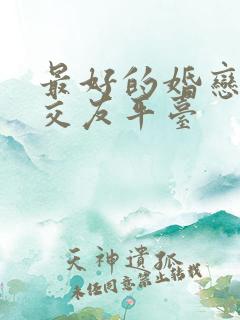 最好的婚恋单身交友平台
