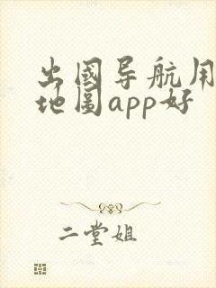 出国导航用哪个地图app好