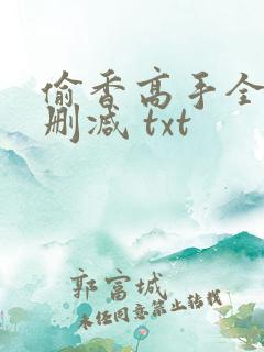 偷香高手全文无删减 txt