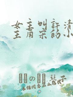 女主叫许清欢男主角宋的小说
